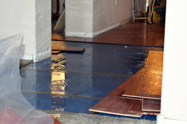 Professional Water Damage Restoration technician working in Rye Beach, NH